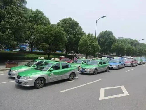 這位出租車司機,有人特地打電話到桐廬,要謝謝你